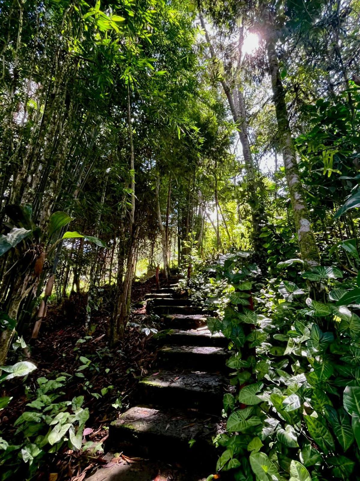 Villa Refugio De Orquideas à Oxapampa Extérieur photo