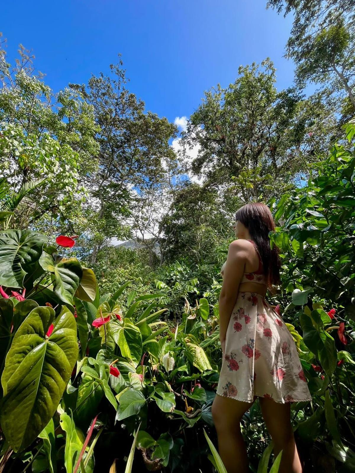 Villa Refugio De Orquideas à Oxapampa Extérieur photo