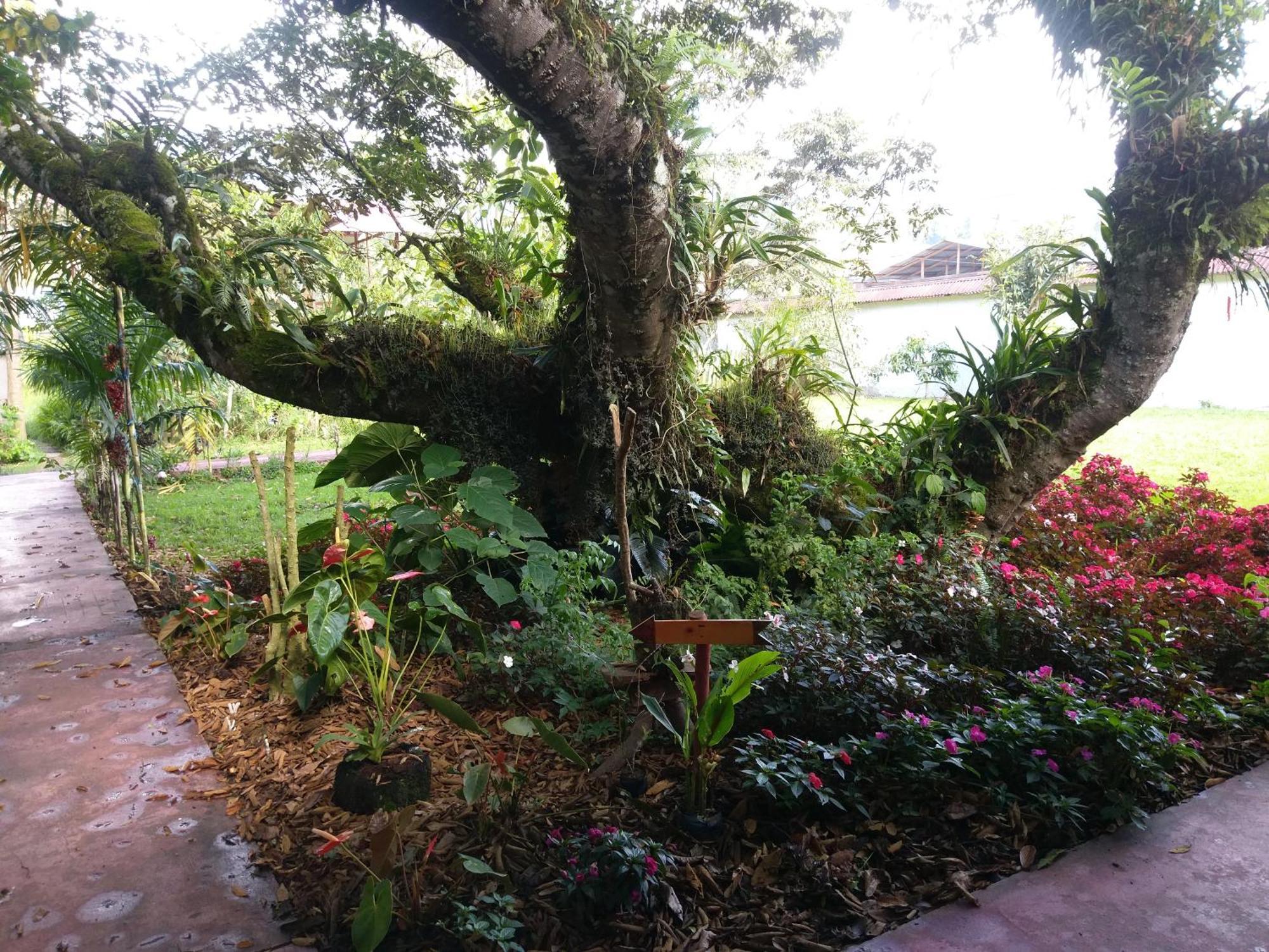 Villa Refugio De Orquideas à Oxapampa Extérieur photo