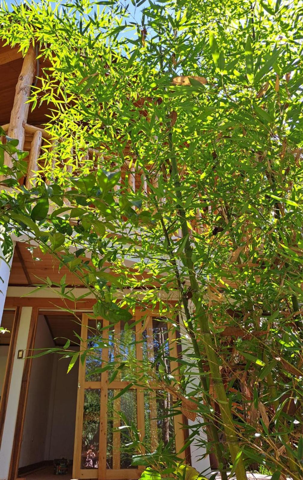 Villa Refugio De Orquideas à Oxapampa Extérieur photo