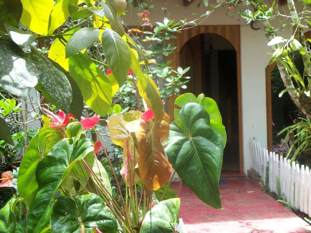 Villa Refugio De Orquideas à Oxapampa Extérieur photo