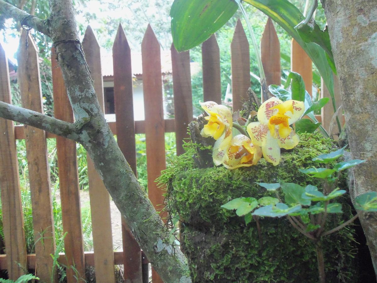Villa Refugio De Orquideas à Oxapampa Extérieur photo
